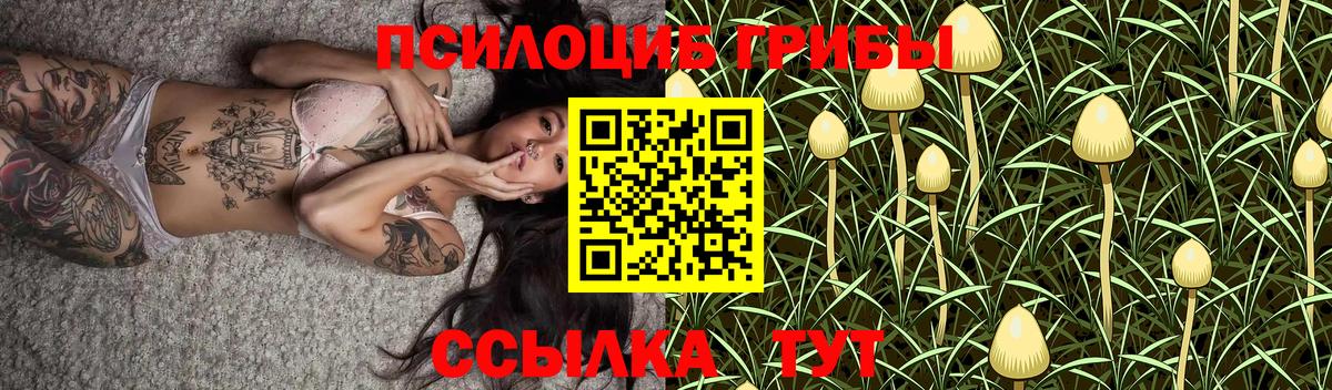 Псилоцибиновые грибы MAGIC MUSHROOMS Среднеуральск