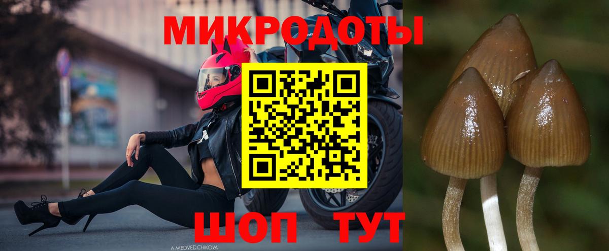 Среднеуральск  Галлюциногенные грибы GOLDEN TEACHER  Псилоцибиновые грибы прущие грибы  как найти   Вход с VPN 